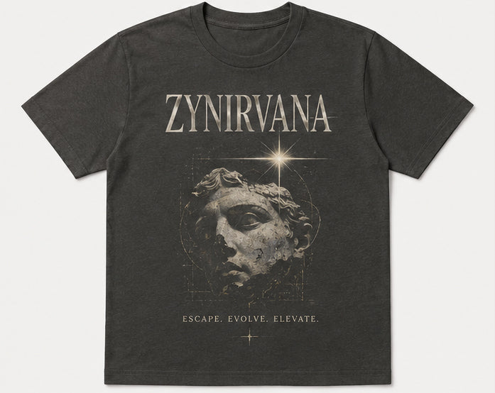 Zynirvana Graphic T-Shirt Evolve Statue Design Grey