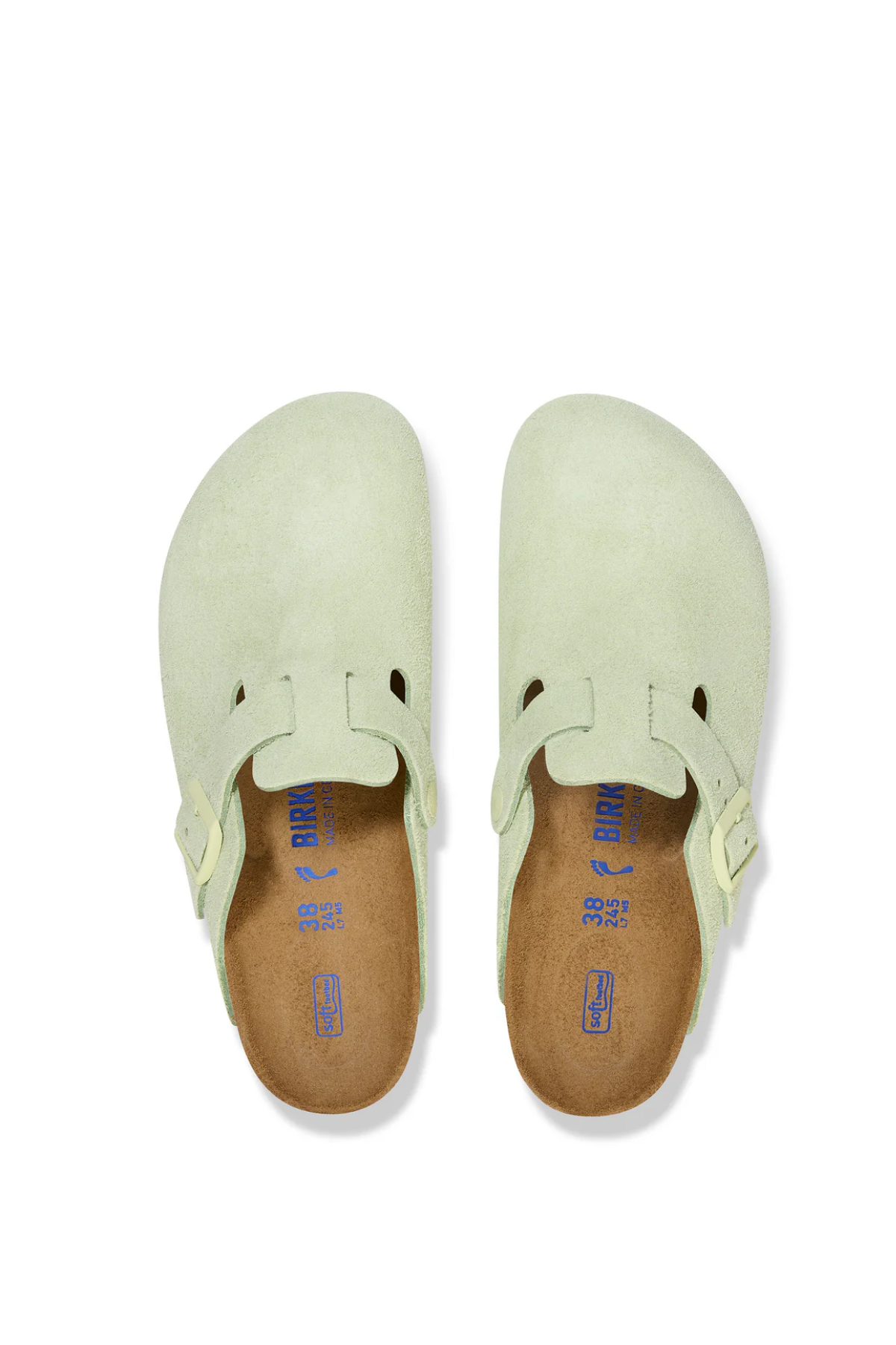 Boston Sfb Faded Lime Suede Leather Regular