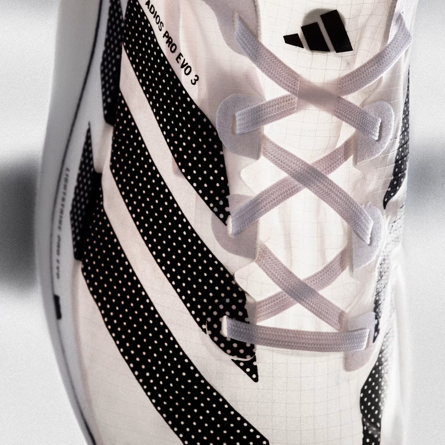 ADIOS PRO EVO 3 Shoes