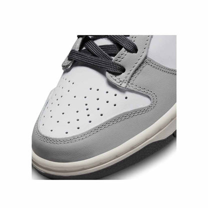 Nike Dunk Low Light Smoke Grey W