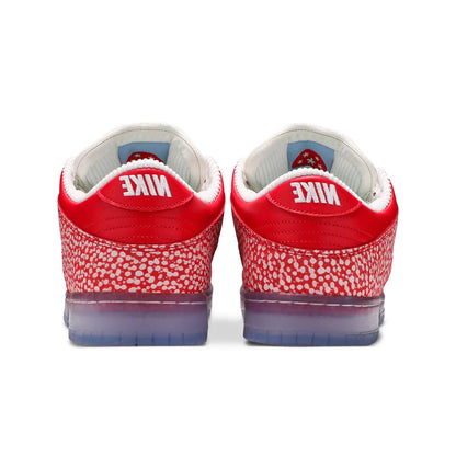 Nike SB Dunk Low Stingwater